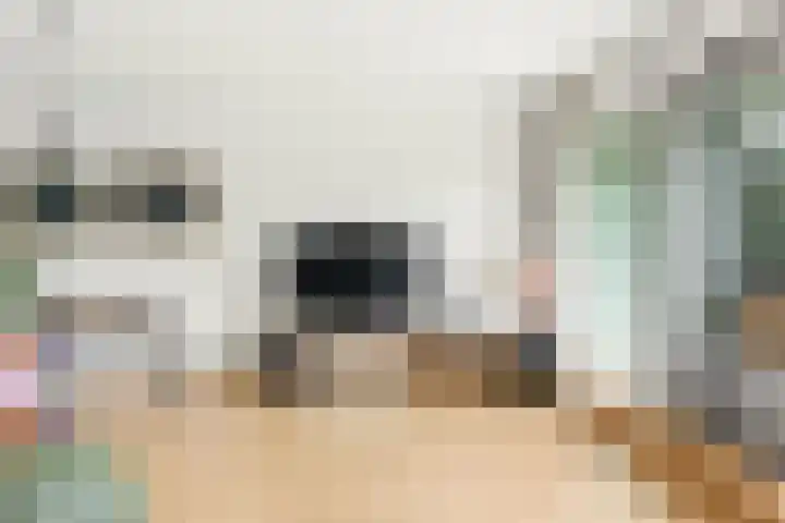 Nedersassen 6 Alblasserdam thumbnail 10
