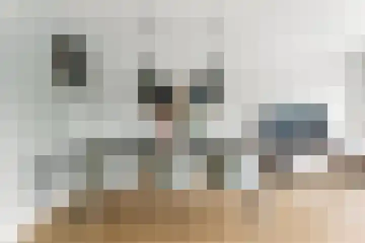 Nedersassen 6 Alblasserdam thumbnail 11