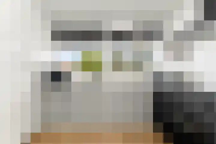 Nedersassen 6 Alblasserdam thumbnail 17
