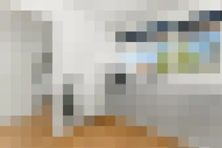 Nedersassen 6 Alblasserdam thumbnail 20