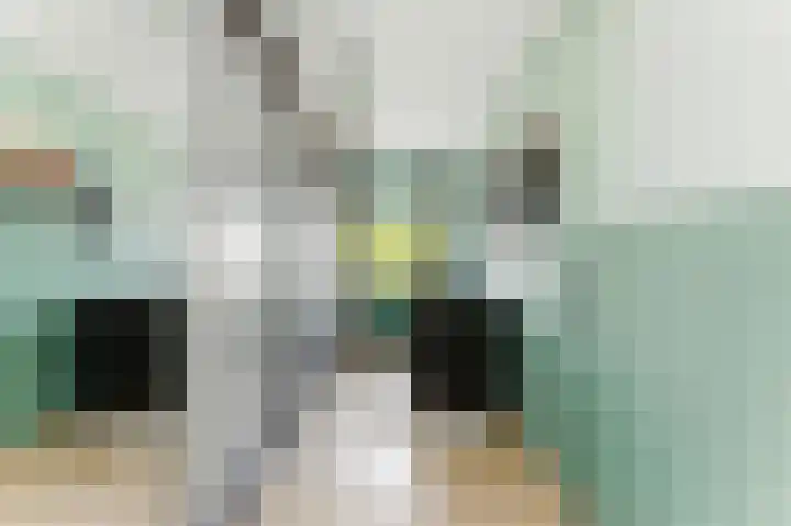 Nedersassen 6 Alblasserdam thumbnail 27