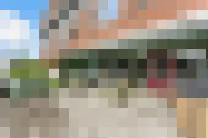 Nedersassen 6 Alblasserdam thumbnail 34