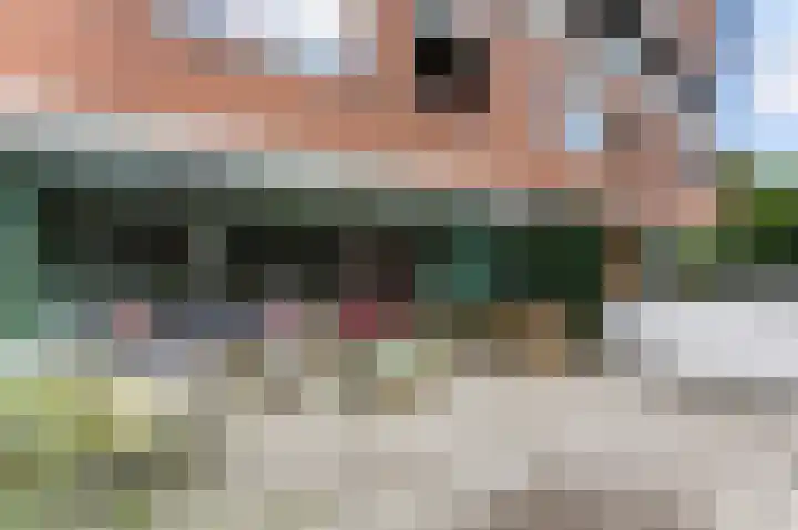 Nedersassen 6 Alblasserdam thumbnail 35