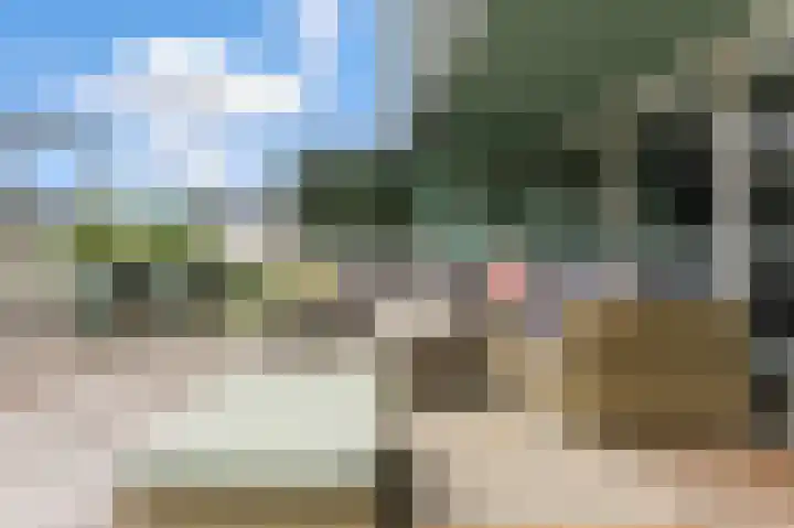 Nedersassen 6 Alblasserdam thumbnail 36