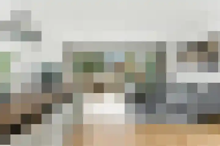 Nedersassen 6 Alblasserdam thumbnail 6