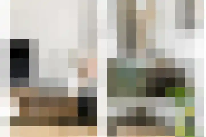 Nedersassen 6 Alblasserdam thumbnail 7