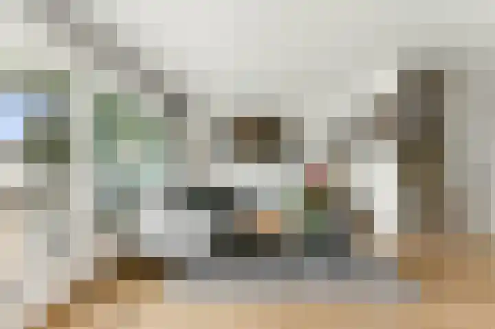 Nedersassen 6 Alblasserdam thumbnail 8