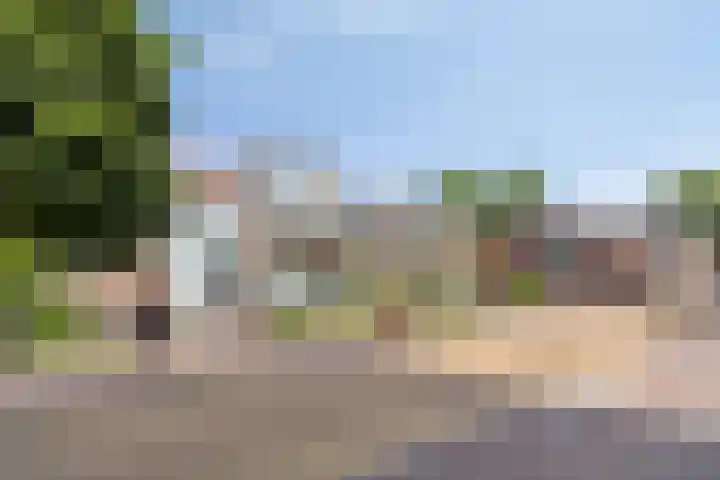Nedersassen 63 Alblasserdam thumbnail 20