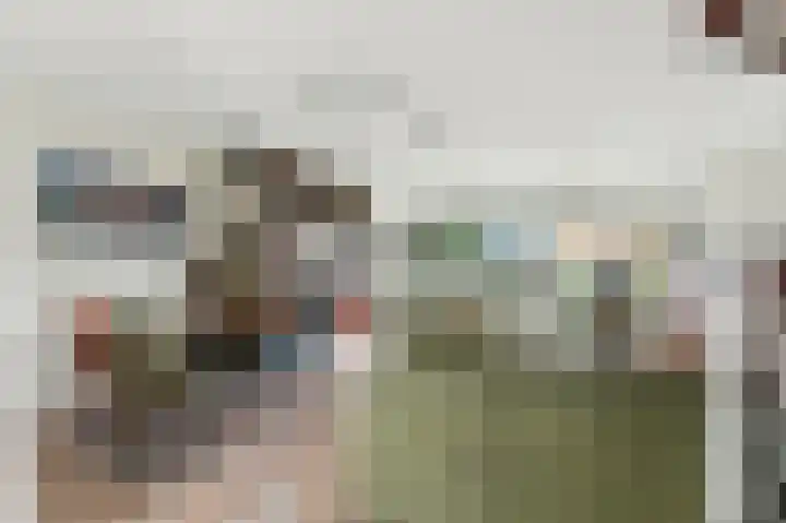 Nedersassen 8 Alblasserdam thumbnail 13