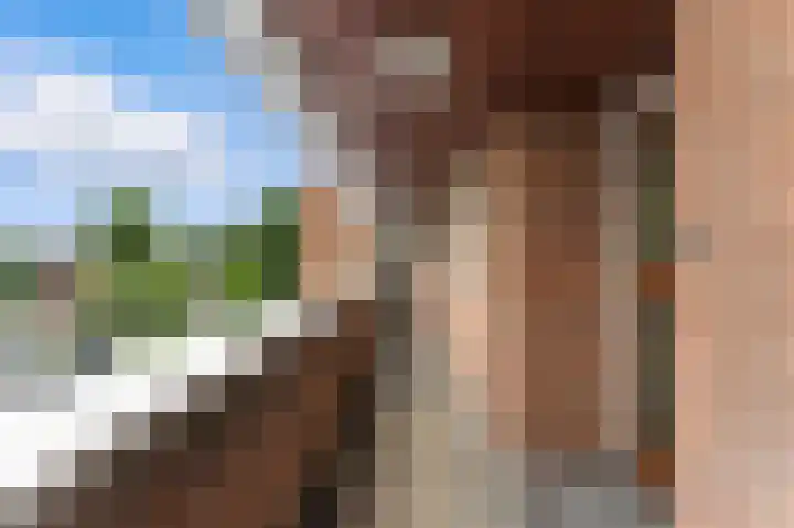 Nedersassen 8 Alblasserdam thumbnail 38