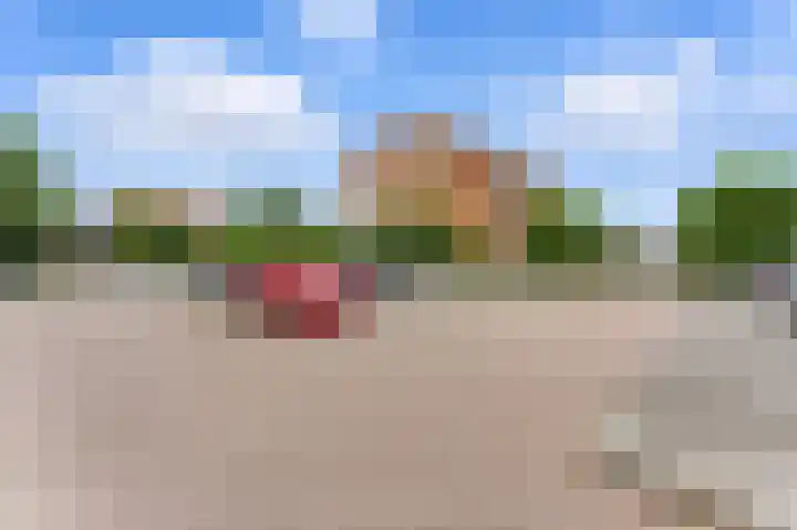 Nedersassen 8 Alblasserdam thumbnail 41