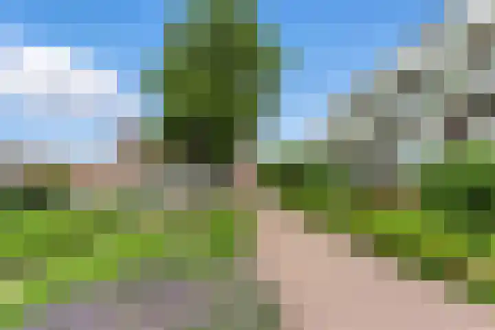 Nedersassen 8 Alblasserdam thumbnail 46