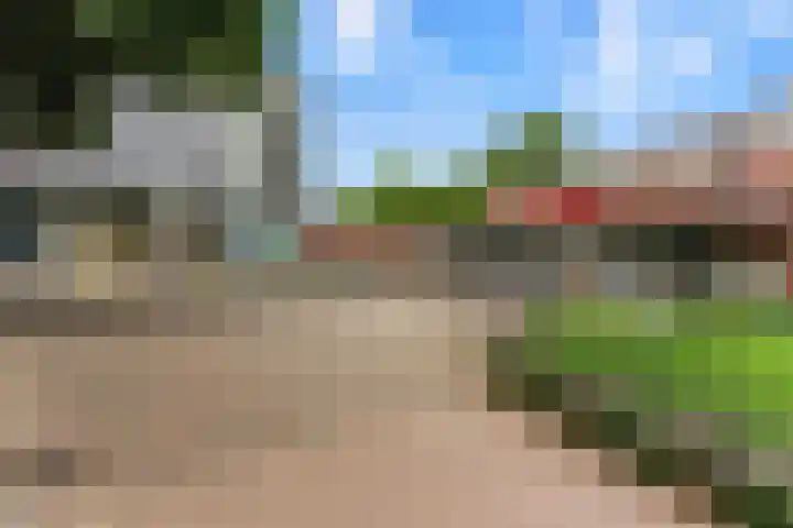 Nedersassen 8 Alblasserdam thumbnail 47