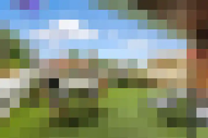 Nedersassen 8 Alblasserdam thumbnail 5