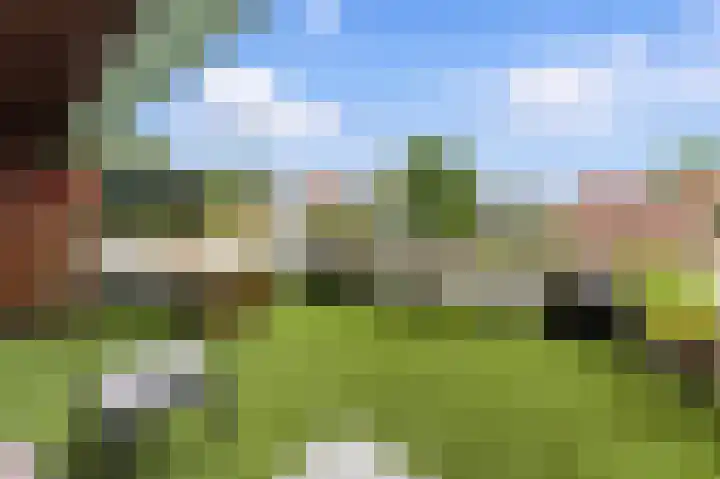Nedersassen 8 Alblasserdam thumbnail 6