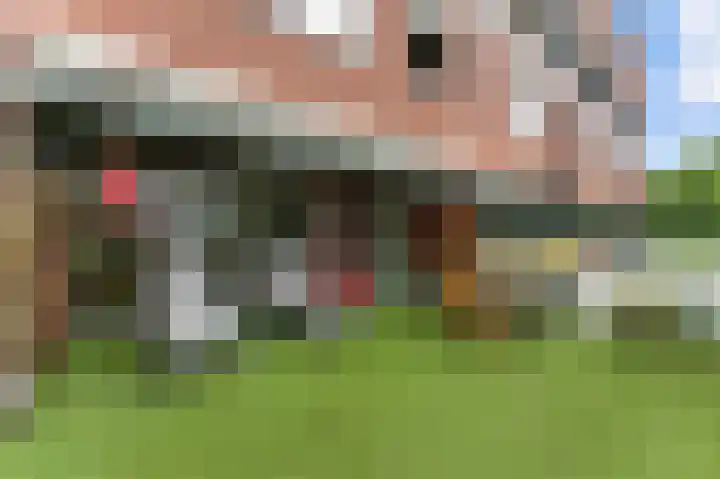 Nedersassen 8 Alblasserdam thumbnail 8