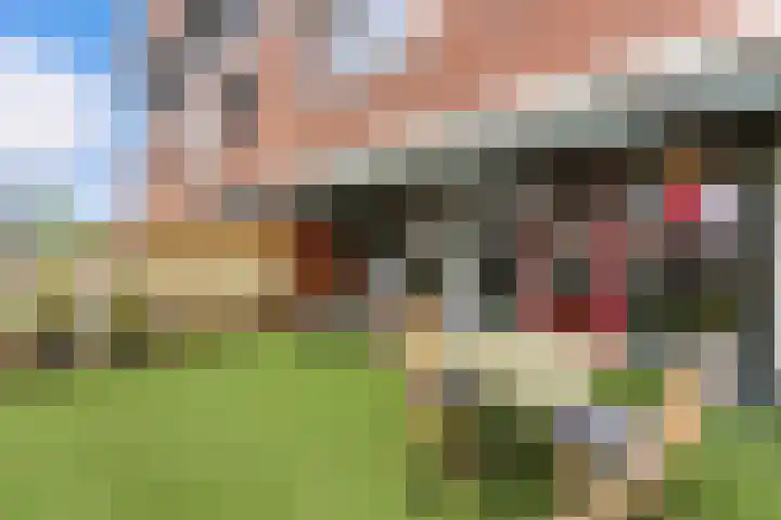 Nedersassen 8 Alblasserdam thumbnail 9