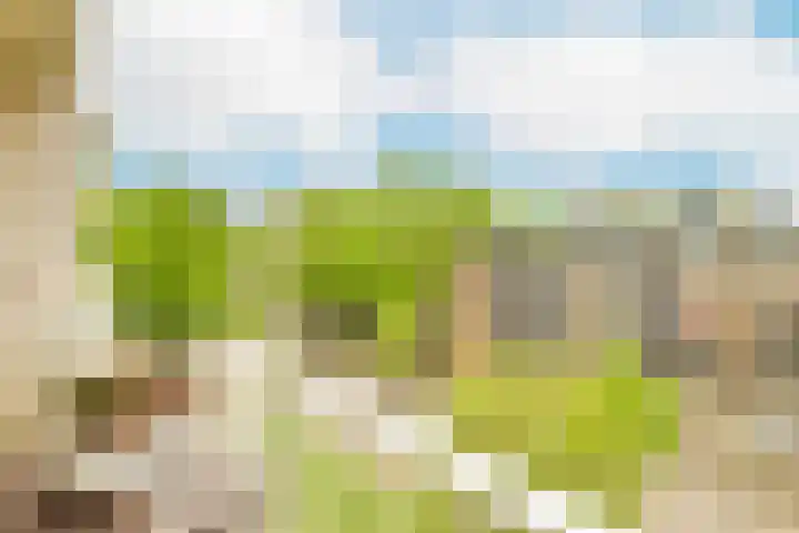 Nedersticht 188 Amsterdam thumbnail 11