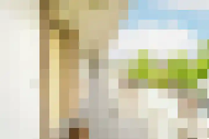 Nedersticht 188 Amsterdam thumbnail 30