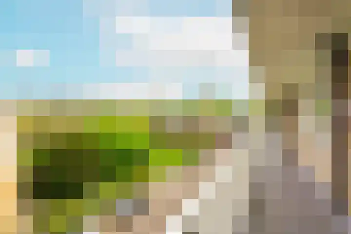 Nedersticht 188 Amsterdam thumbnail 31