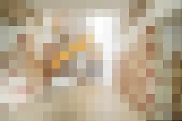 Nedersticht 188 Amsterdam thumbnail 32