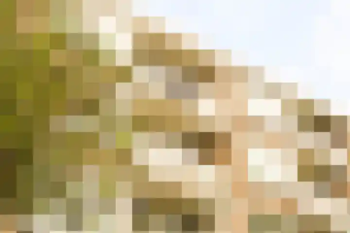 Nedersticht 188 Amsterdam thumbnail 35
