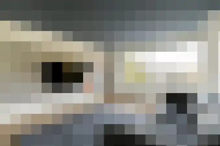 Nedersticht 310 Amsterdam