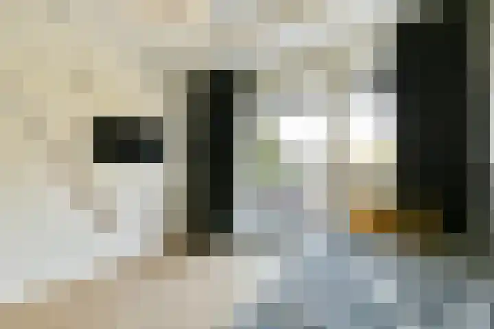 Nedersticht 310 Amsterdam thumbnail 13