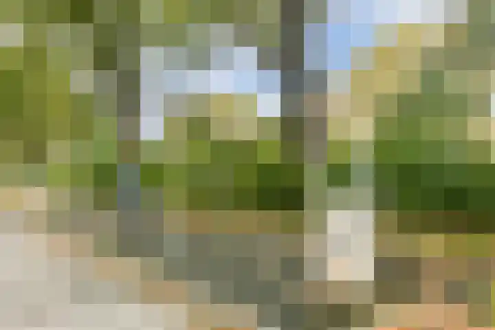 Nedersticht 310 Amsterdam thumbnail 18