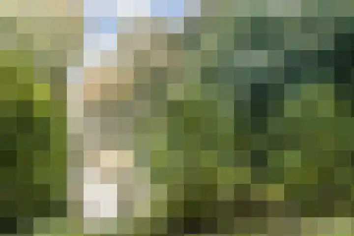 Nedersticht 310 Amsterdam thumbnail 20