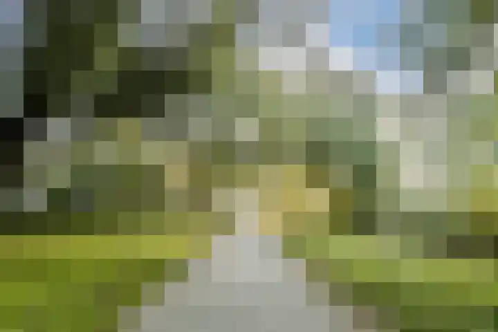 Nedersticht 310 Amsterdam thumbnail 21