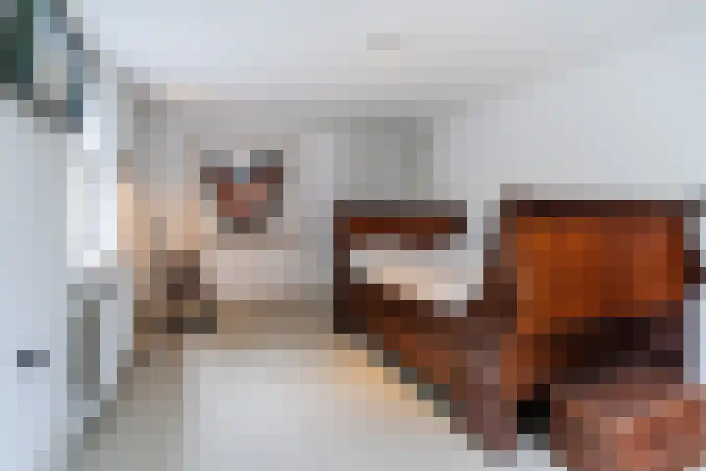 Nederstraat 2 Amerongen thumbnail 28