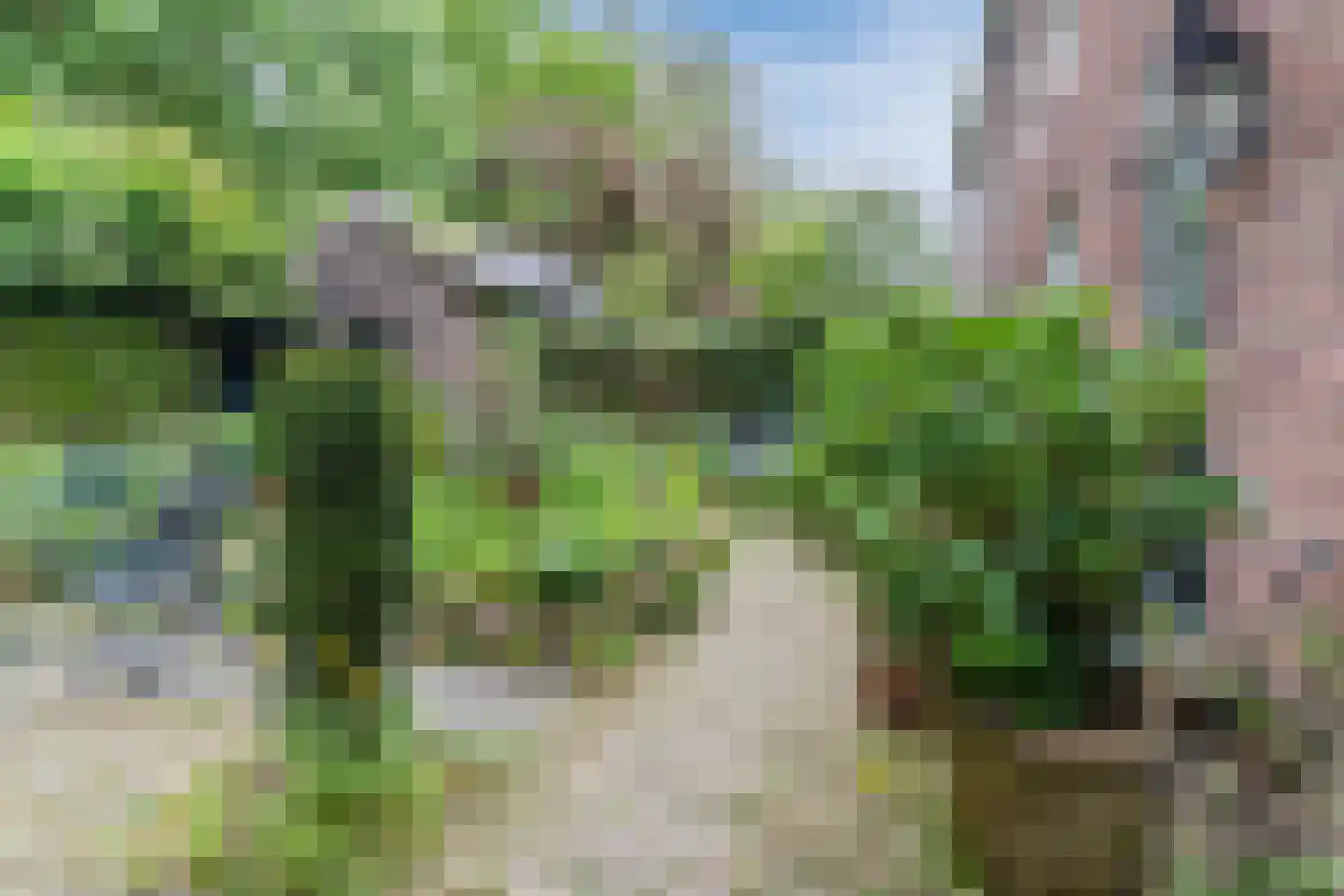 Nederstraat 2 Amerongen thumbnail 38