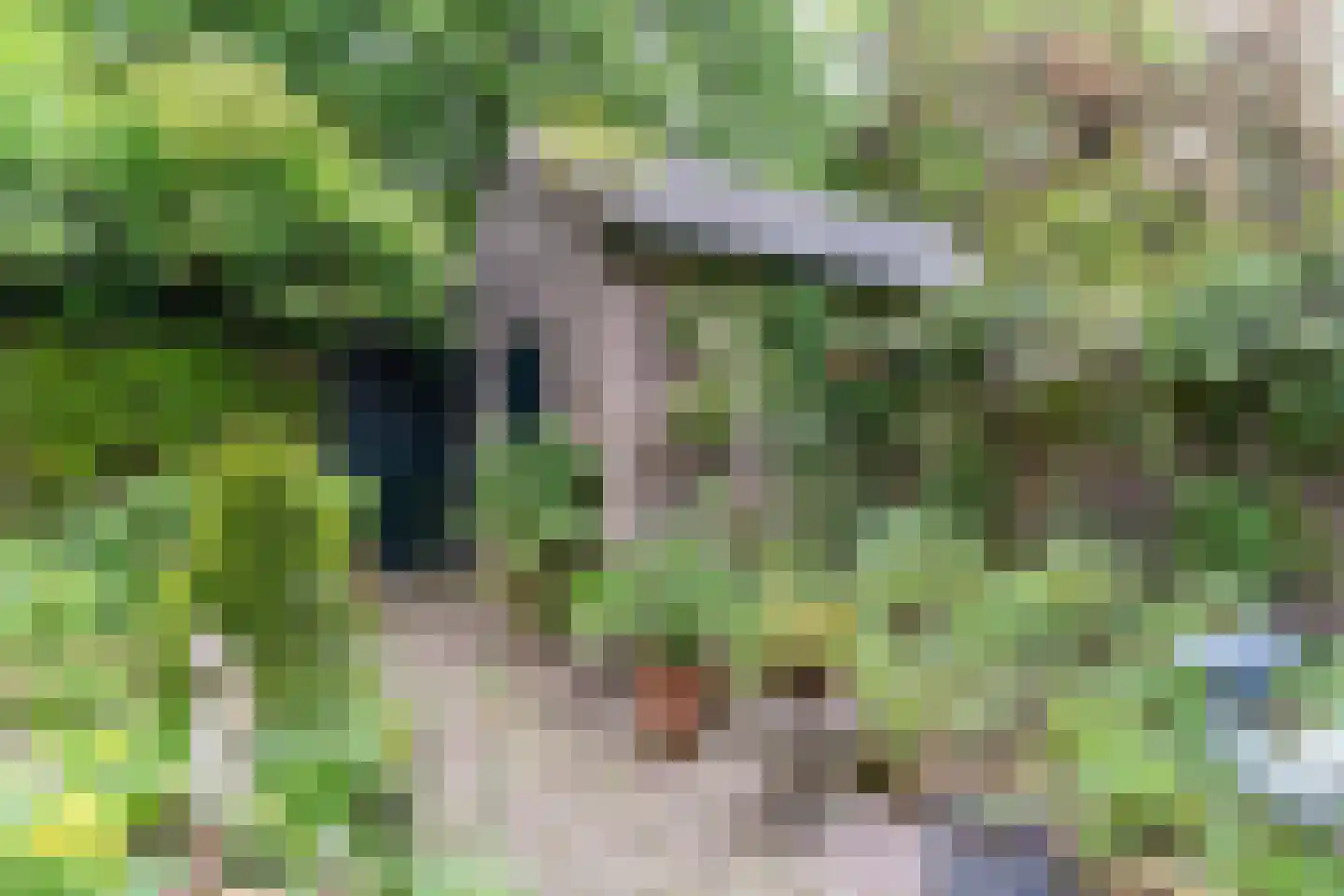 Nederstraat 2 Amerongen thumbnail 39