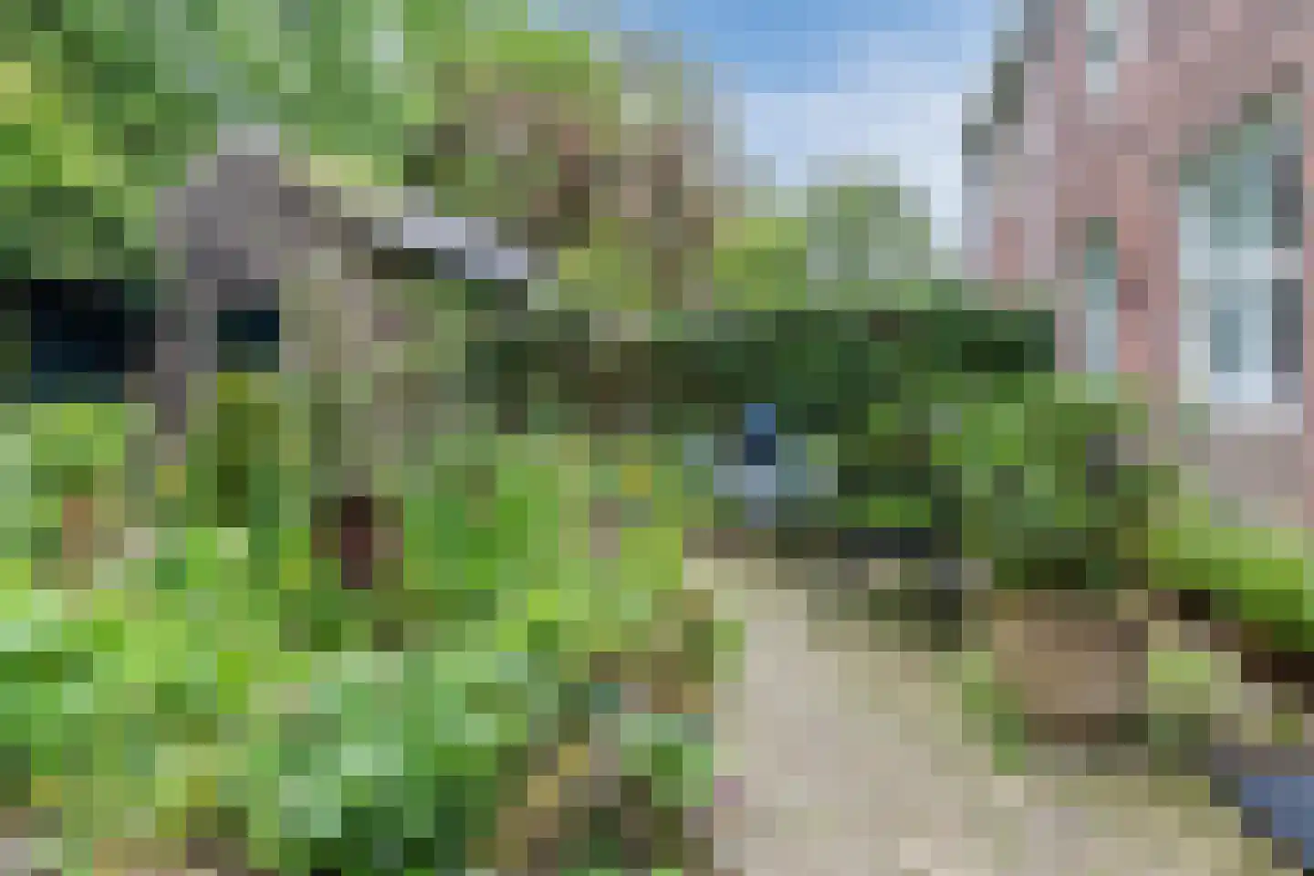 Nederstraat 2 Amerongen thumbnail 43
