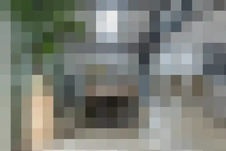 Nederstraat 28 Amerongen thumbnail 6