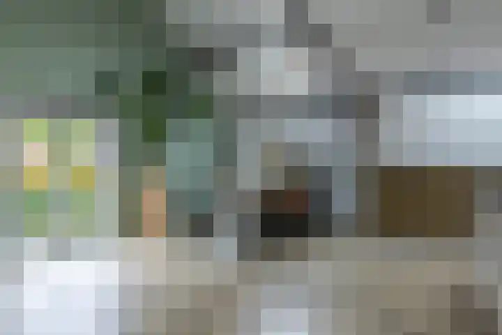 Nederstraat 28 Amerongen thumbnail 7
