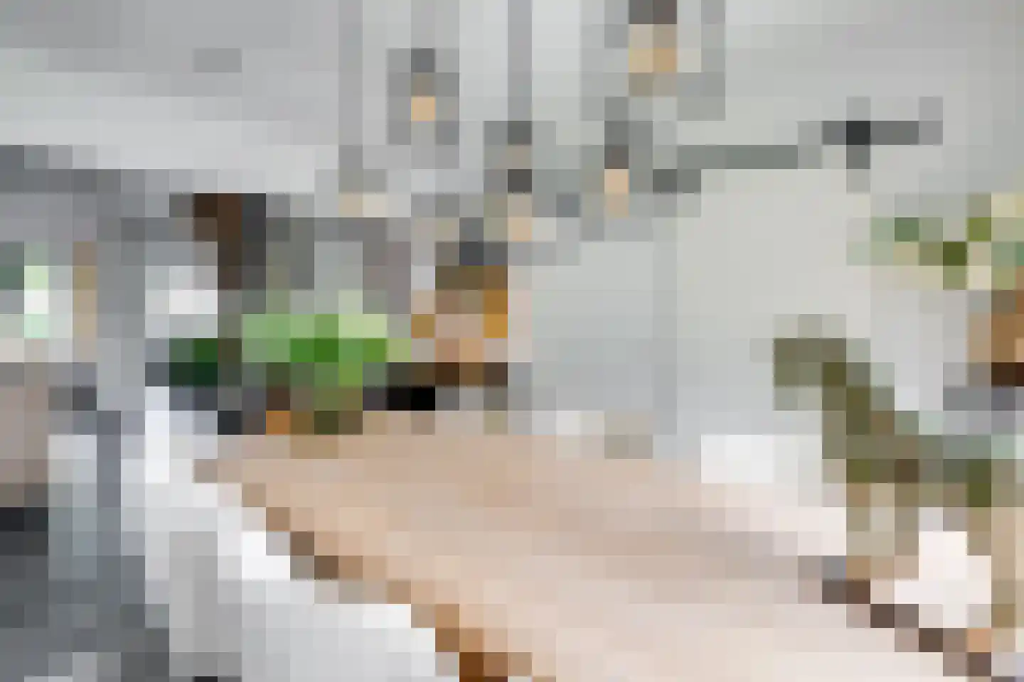 Nederven 8 Zundert thumbnail 12