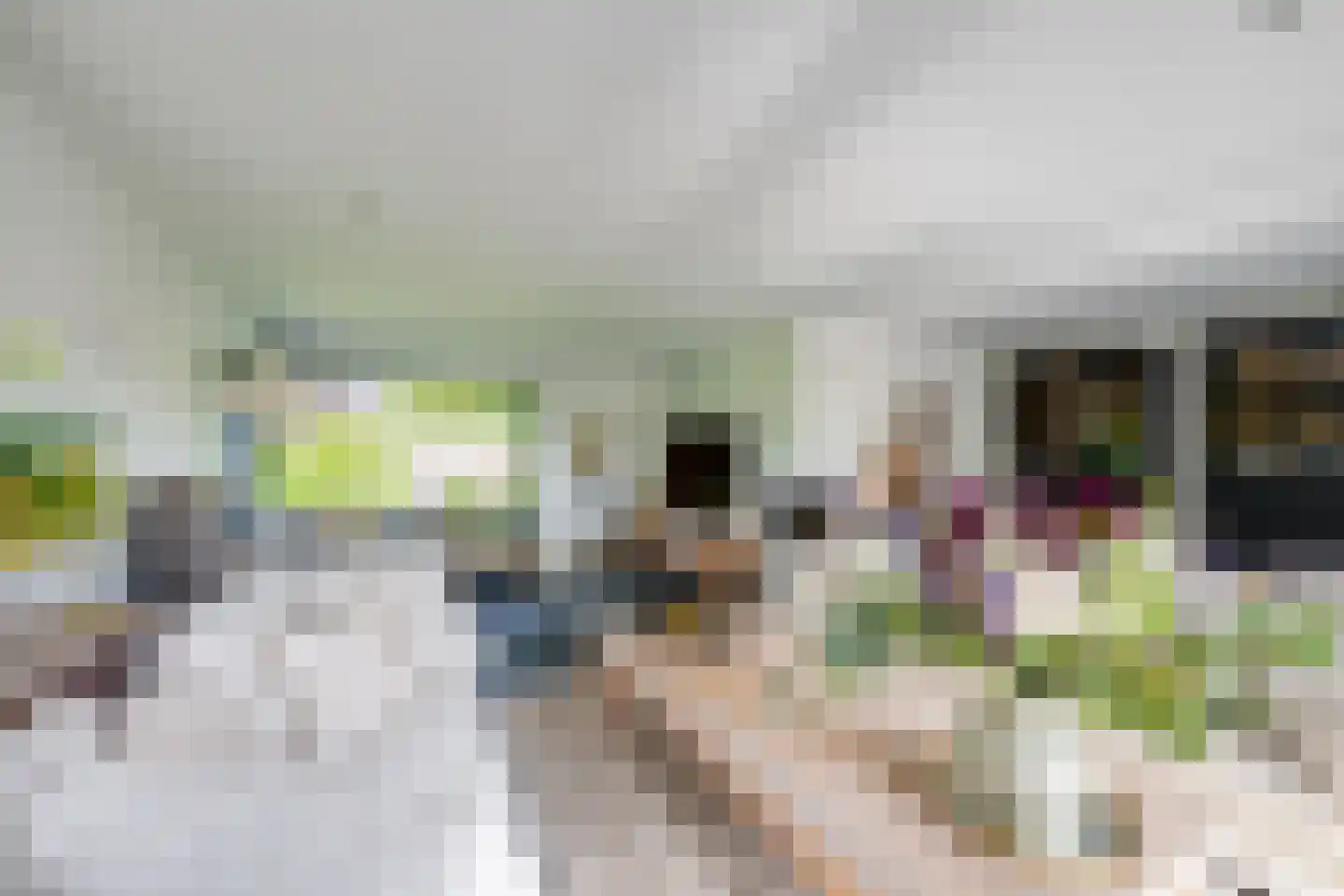 Nederven 8 Zundert thumbnail 14