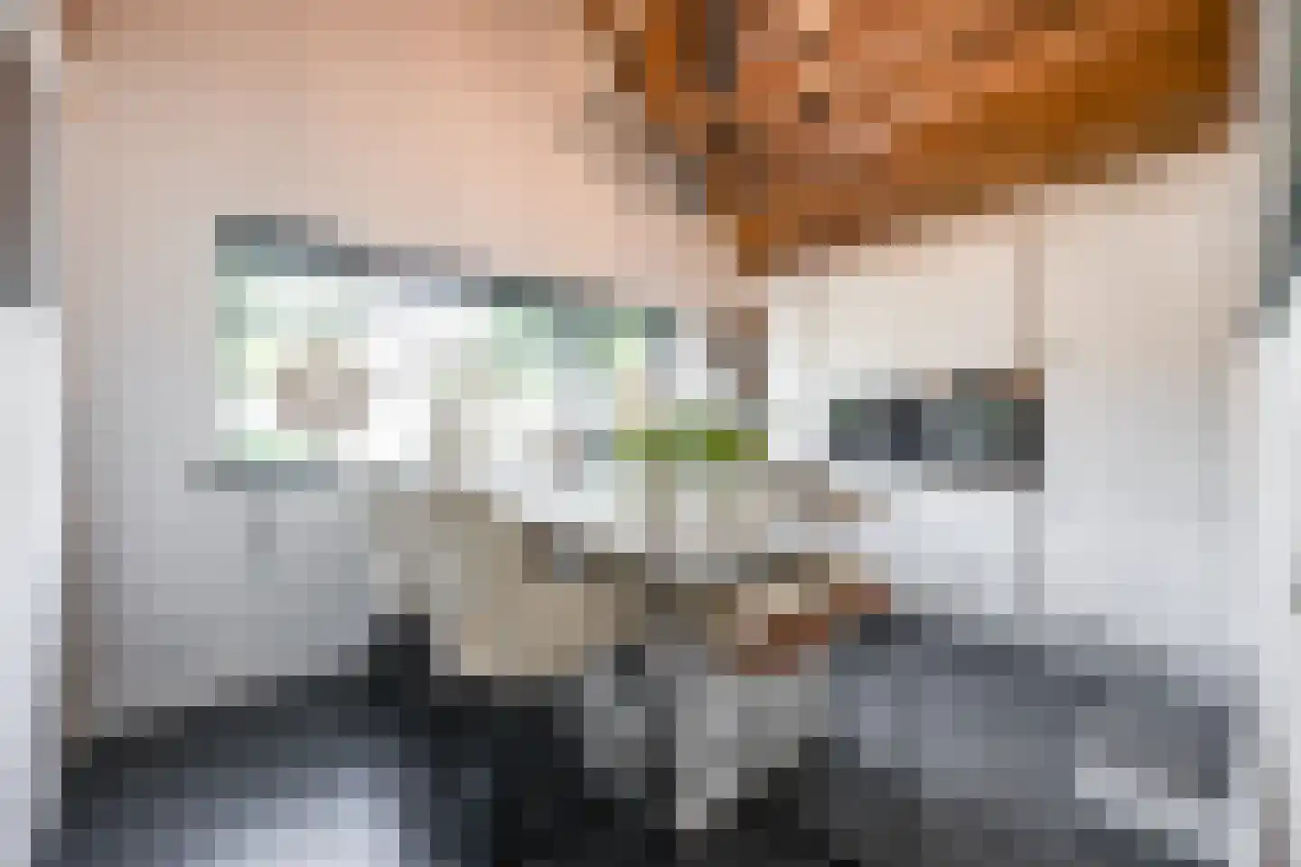 Nederven 8 Zundert thumbnail 18
