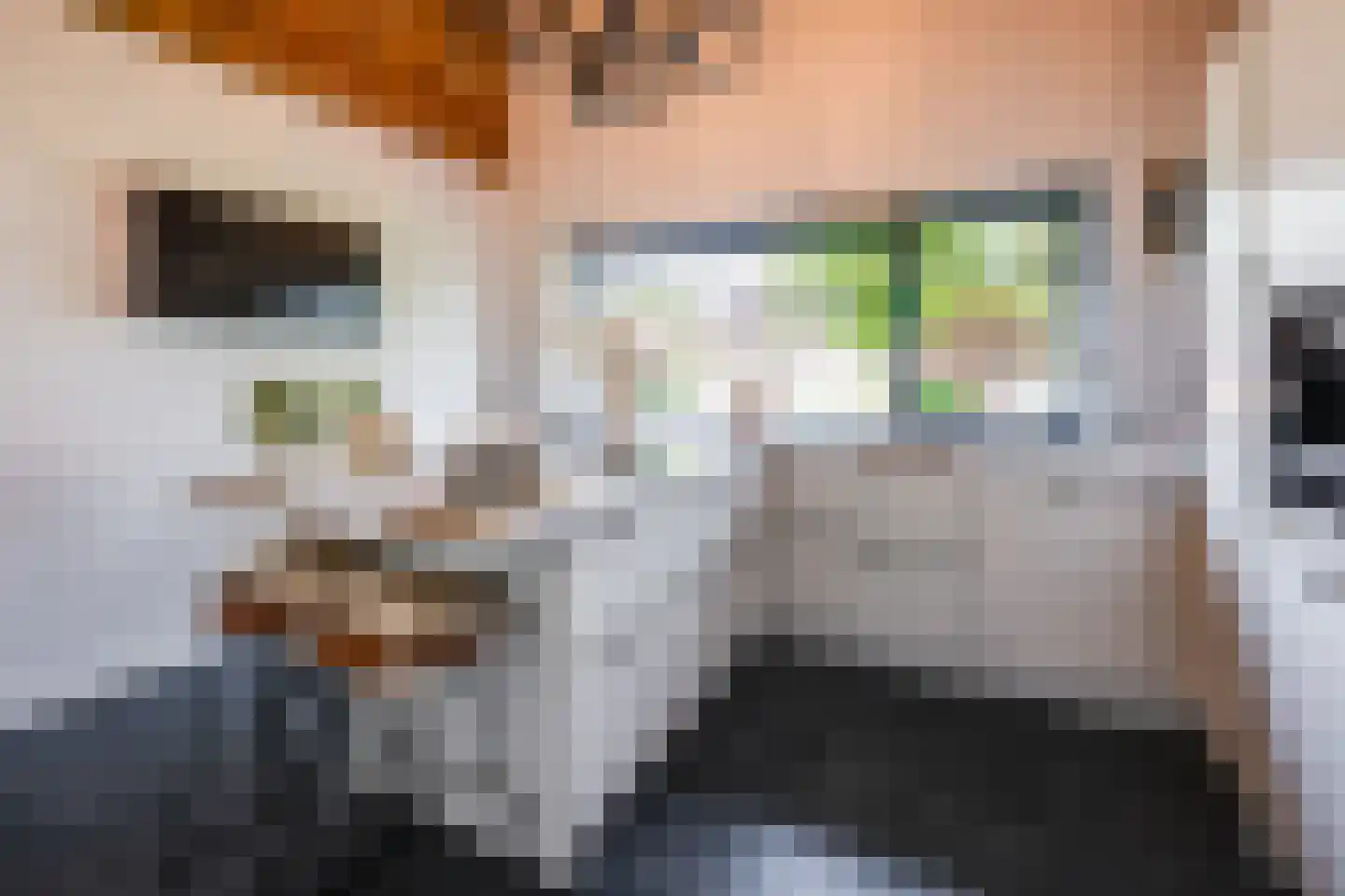 Nederven 8 Zundert thumbnail 19