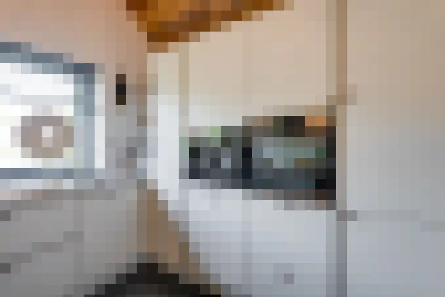 Nederven 8 Zundert thumbnail 20
