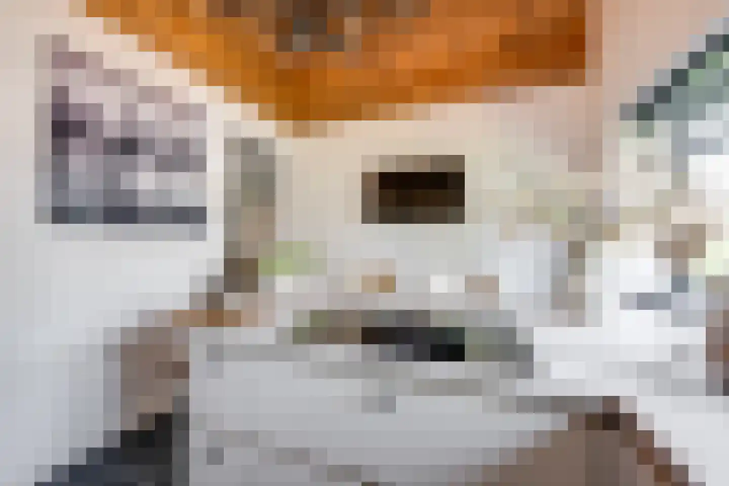 Nederven 8 Zundert thumbnail 22