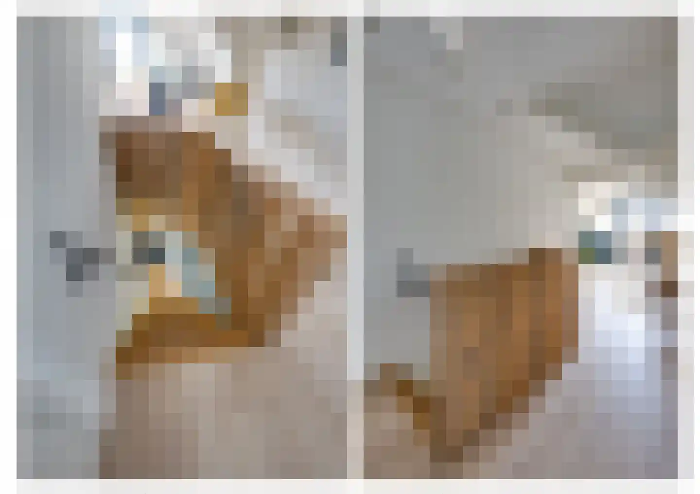 Nederven 8 Zundert thumbnail 36