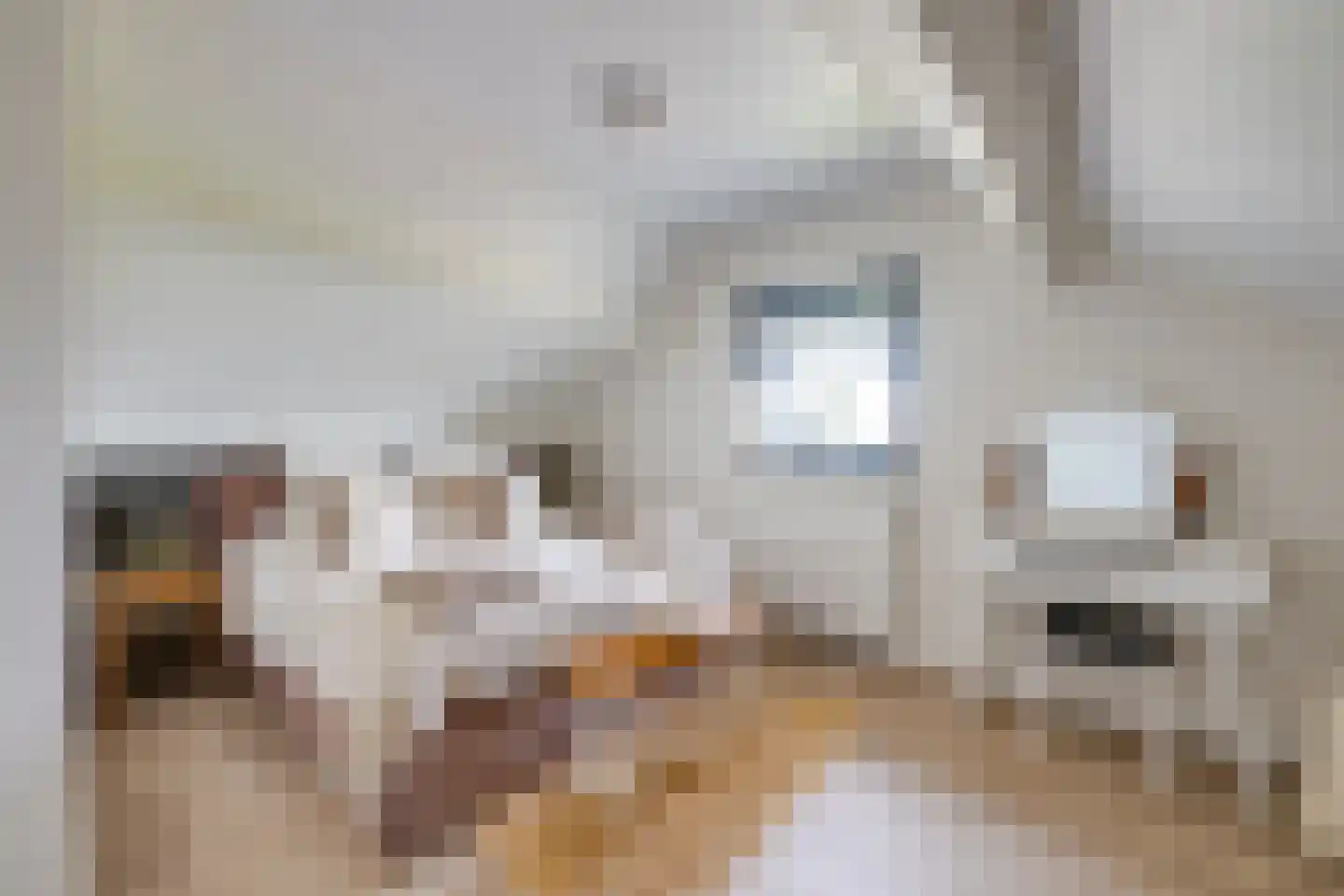 Nederven 8 Zundert thumbnail 39