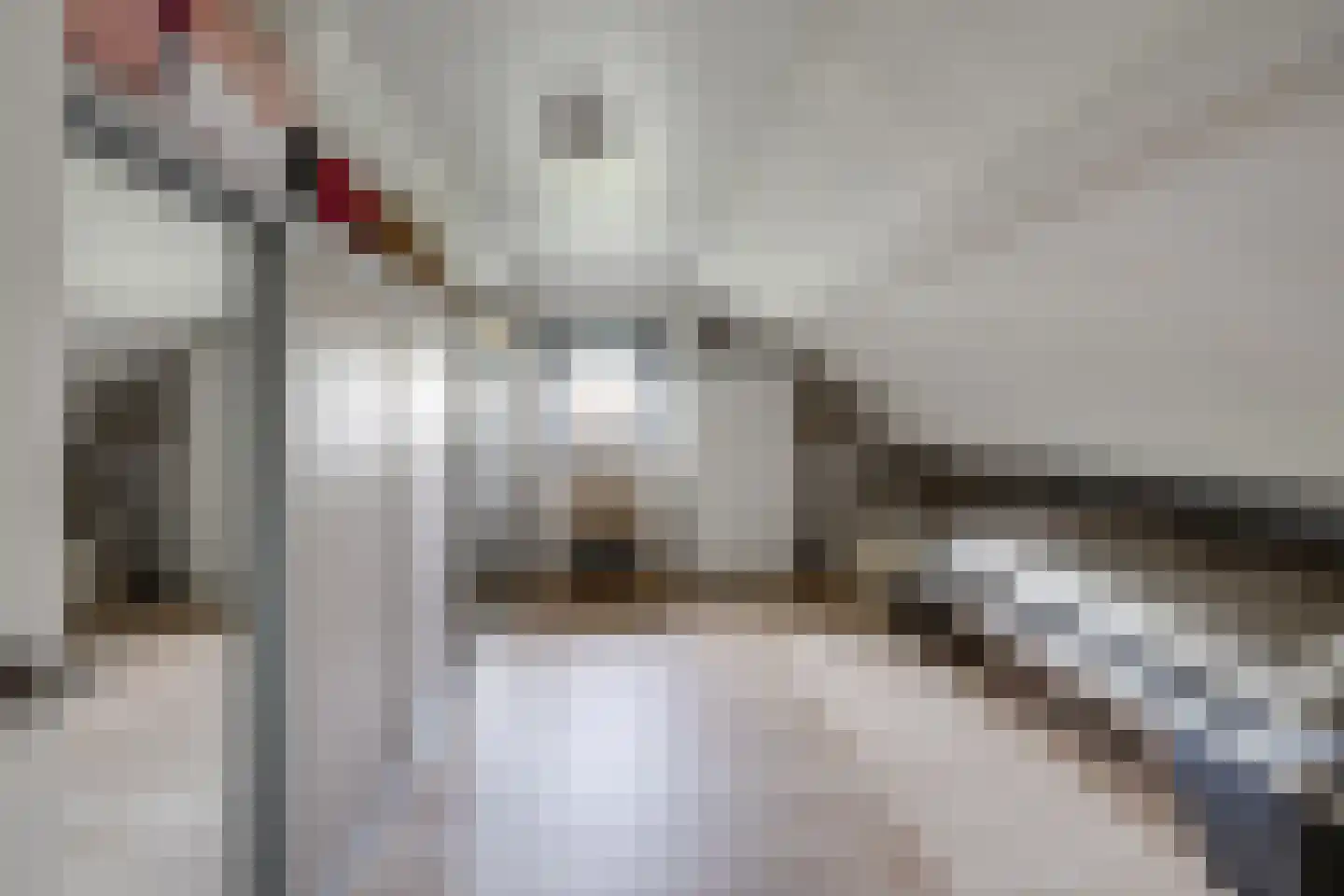 Nederven 8 Zundert thumbnail 43