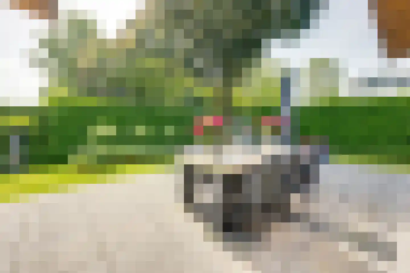 Nederven 8 Zundert thumbnail 49