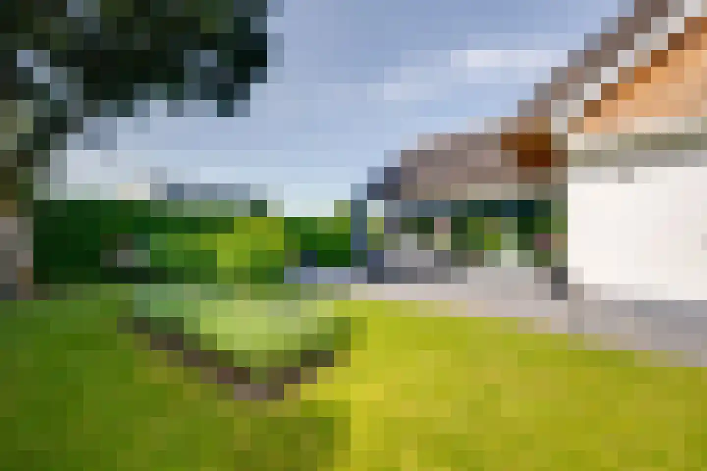 Nederven 8 Zundert thumbnail 50