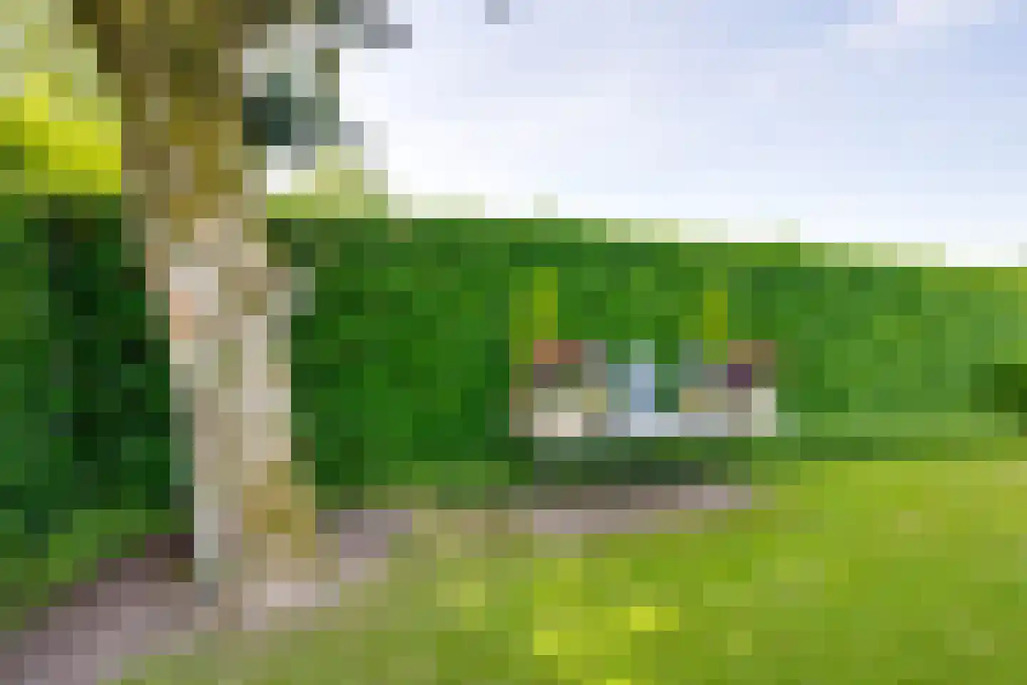 Nederven 8 Zundert thumbnail 51