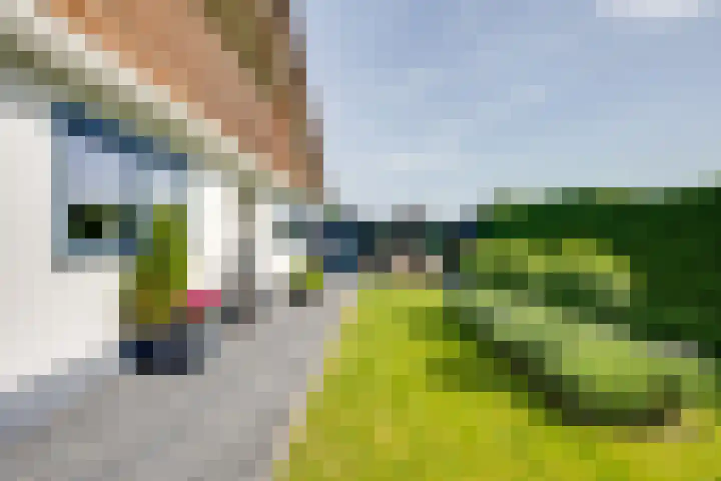 Nederven 8 Zundert thumbnail 53